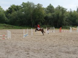 img_5871_web